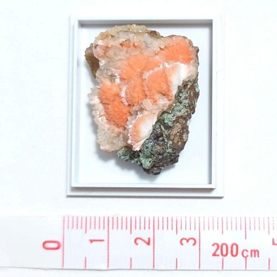 メソライト 2：カダクワニ（インド）