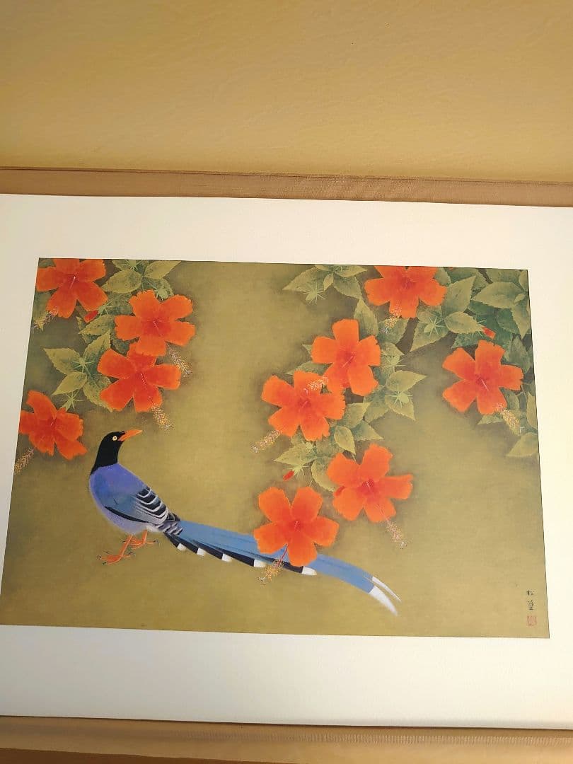 ✨白孔雀 花鳥 上村松篁　全8枚✨