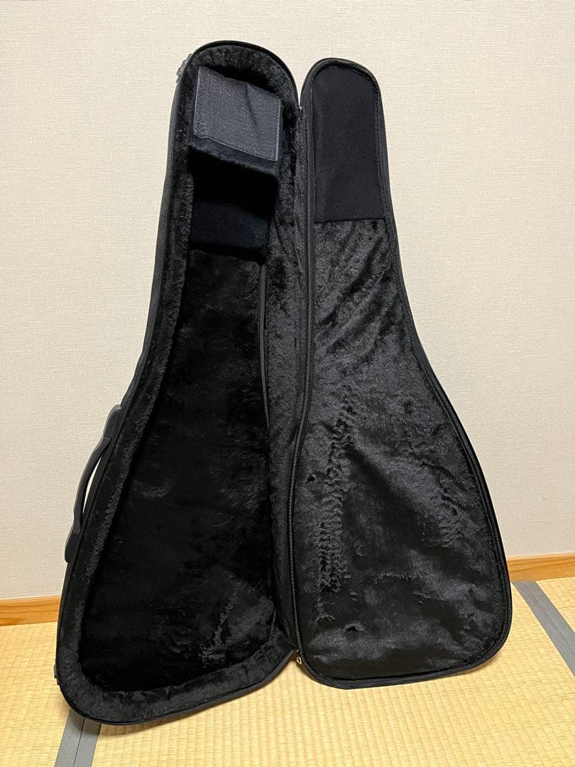 ギター PRS S2 594 McCarty 594 Singlecut