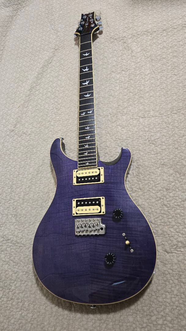 ギター [CAP]PRS SE Custom24 30th Anniversary