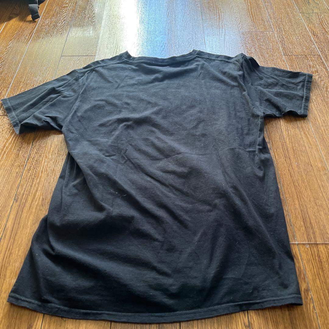 avicii 2015年　東京公演　公式タオルとTシャツ