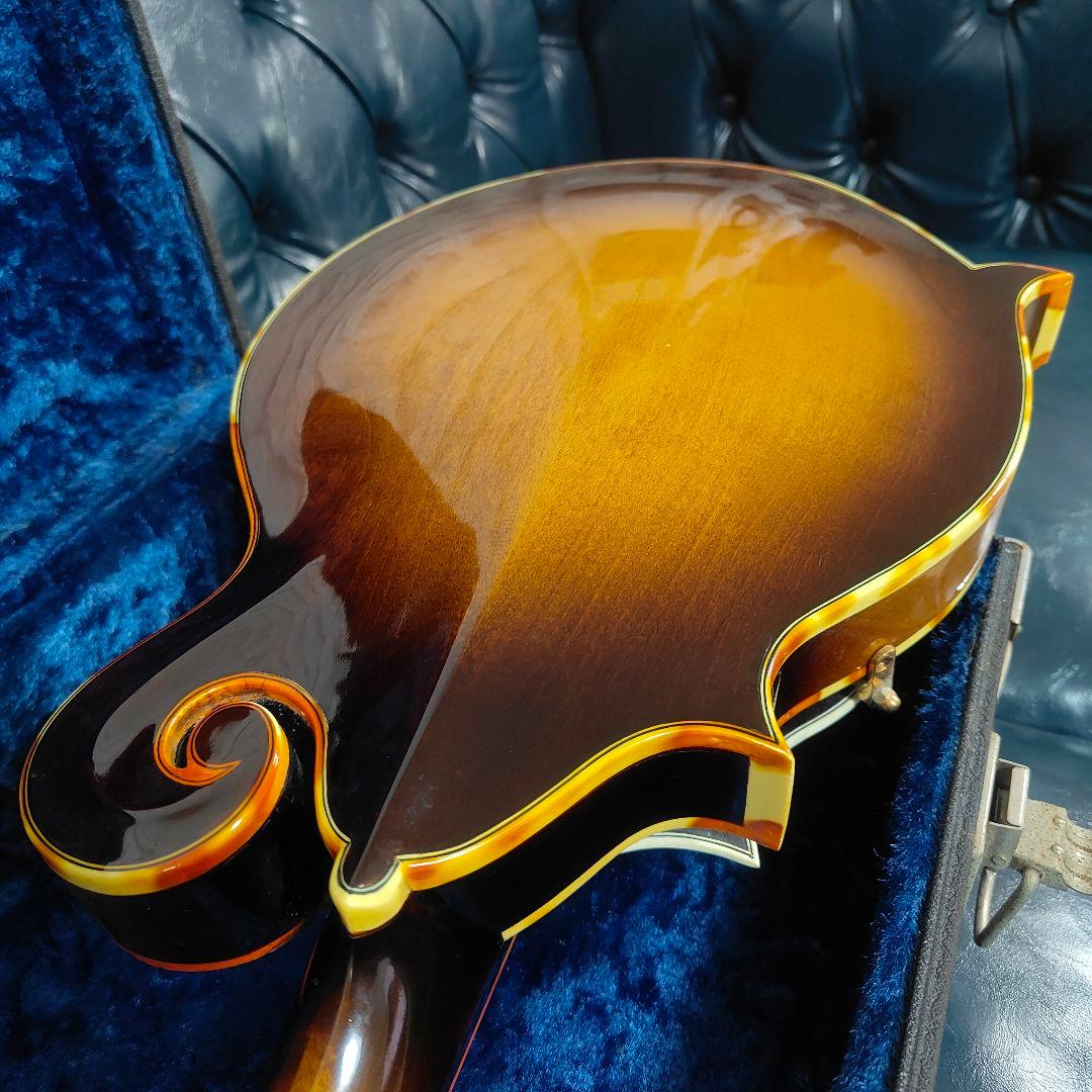 BLUE BELL F-10 マンドリン ブルーベル