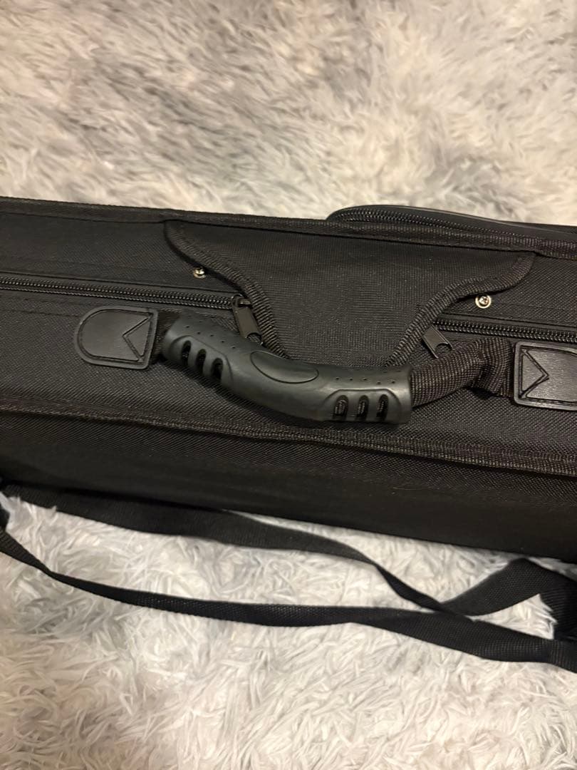 カルロジョルダーノ エレキバイオリン ケース弓付き　cv-210e 顎当てなし