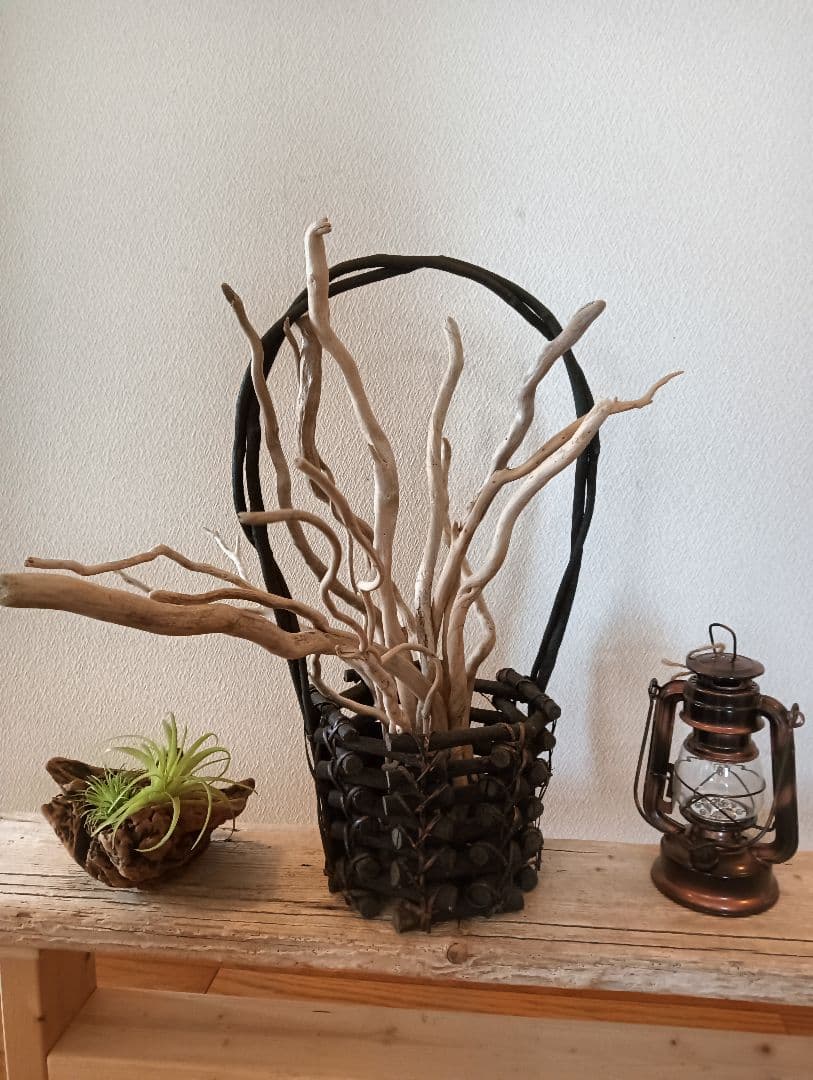 流木534 　流木のディスプレイ用サイドテーブル　多肉植物　　陶芸作品　観葉植物