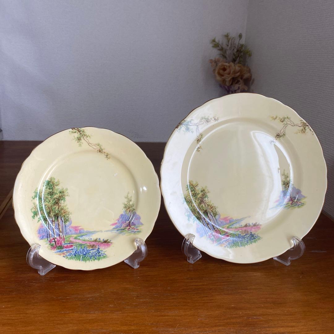 エインズレイ　ブルーベル　クリームイエロー　カルテットカップ　ソーサー　プレート