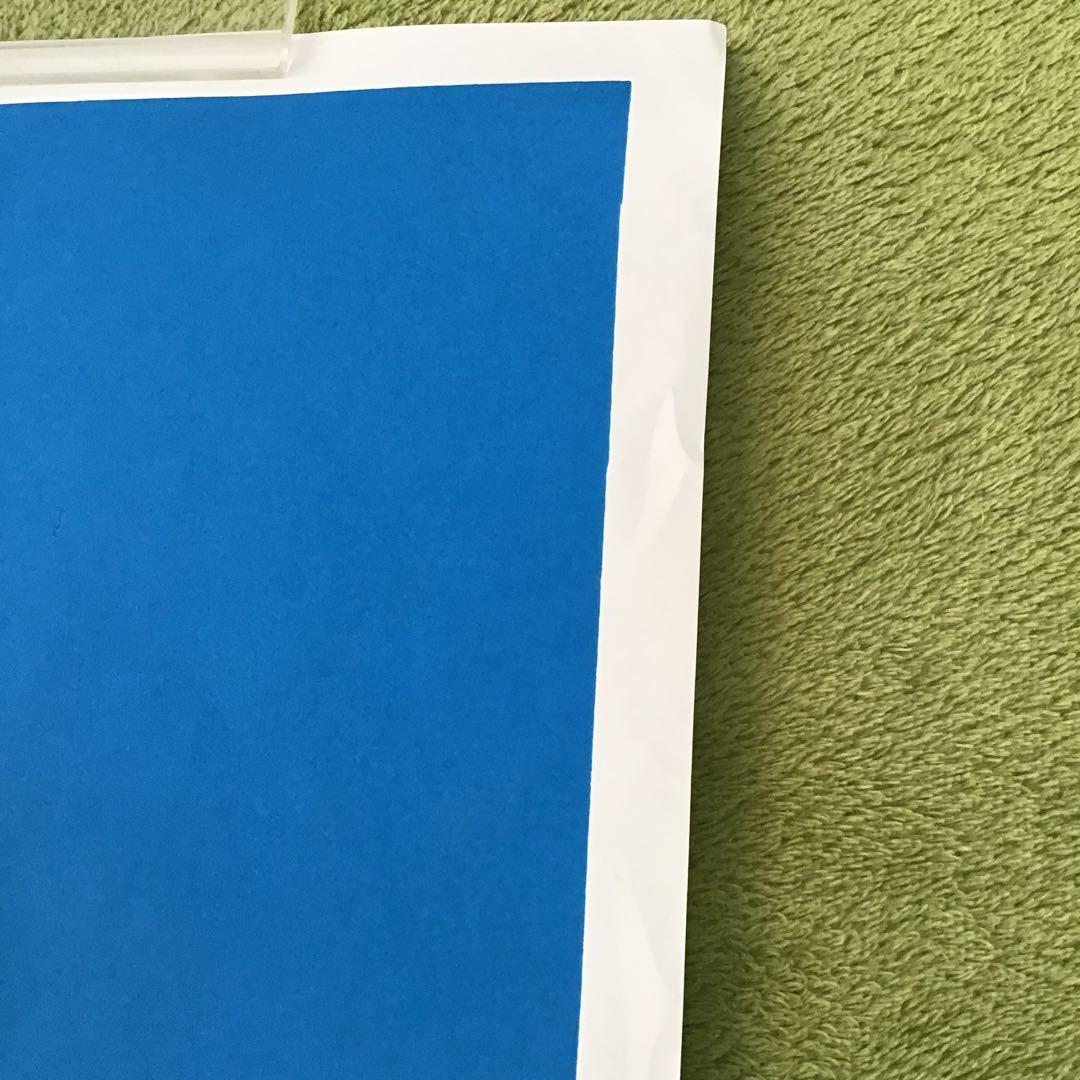 ビンテージ ハワイアン ポスター シルクスクリーン 2枚セット Hawaii