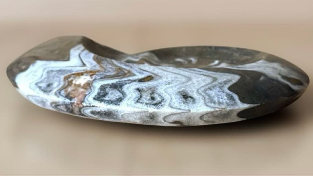 ゴニオクリメニアの化石 アンモナイト モロッコ産 化石 デボン紀 大きめサイズ