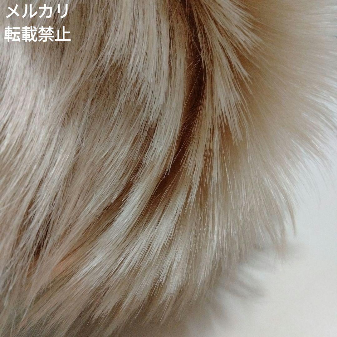 【レア・美品】聖飢魔II ライデン殿下 ウィッグ ゴールド