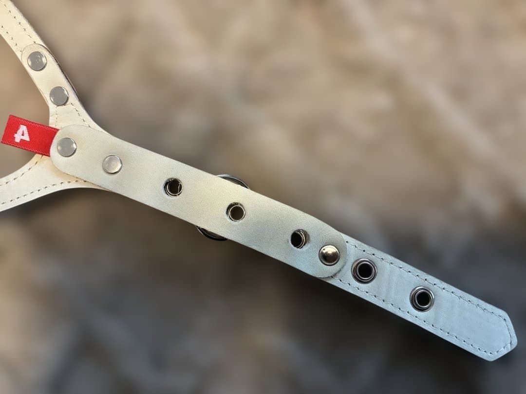 【正規品】Buddy Belts バディベルト 4号 キャラメル 犬用ハーネス