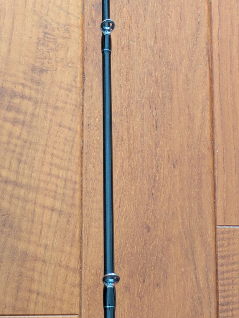 ダイワ　スロージギングロッド　19ソルティガ　SJ 61B-5