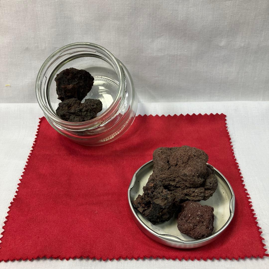 ネパール産のアンモナイト