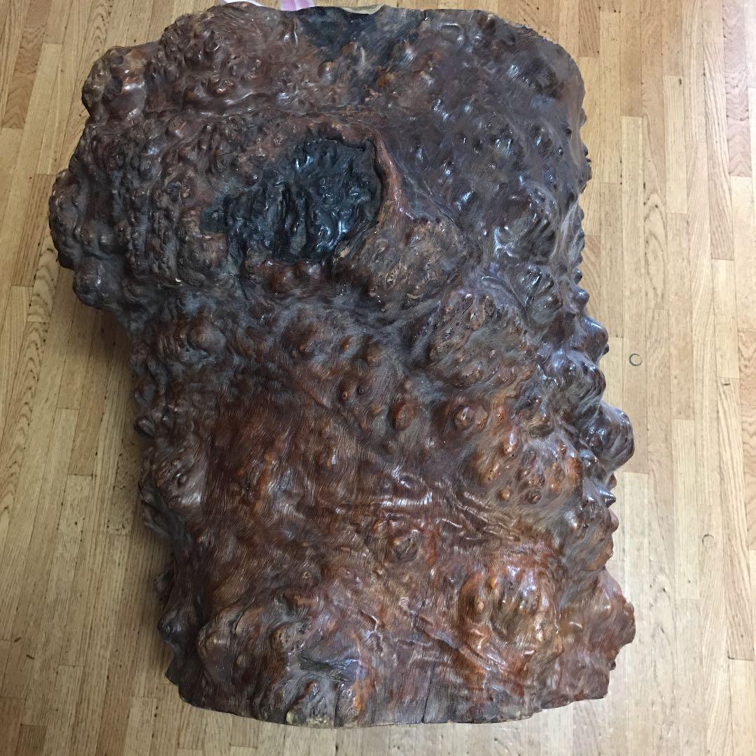 木の根 インテリア  掛軸いれなど