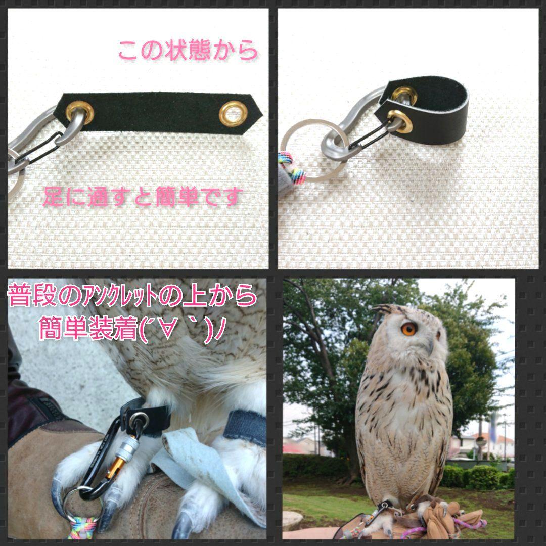 猛禽用品☆簡易アンクレット  各サイズ  在庫カラー確認用