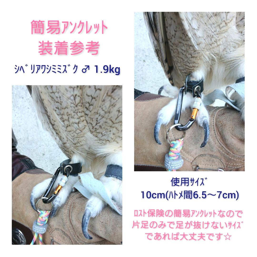 猛禽用品☆簡易アンクレット  各サイズ  在庫カラー確認用