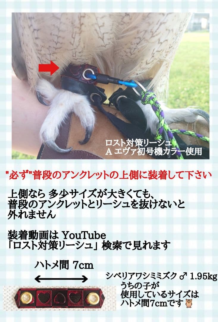 猛禽用品☆簡易アンクレット  各サイズ  在庫カラー確認用