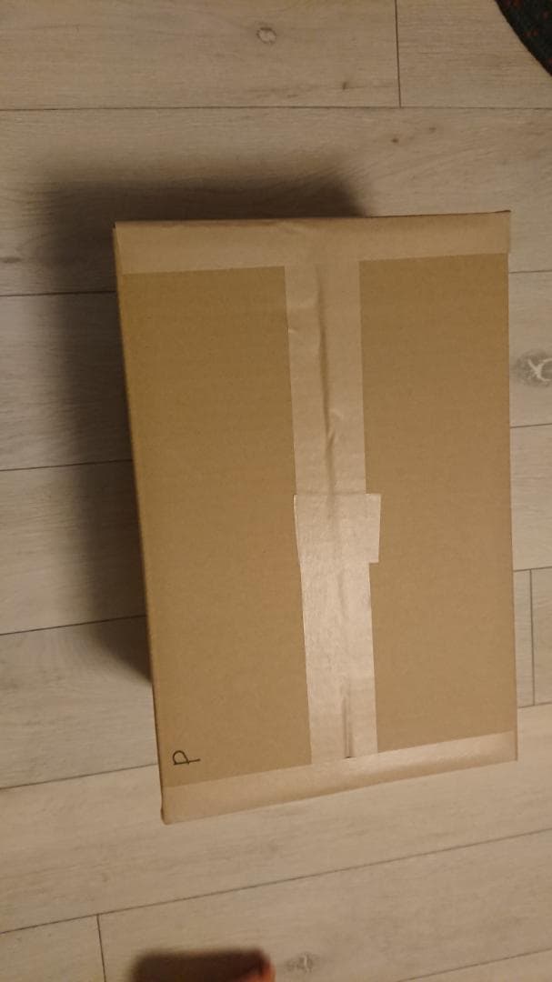 PYTHON .357mag 4inch リボルバー