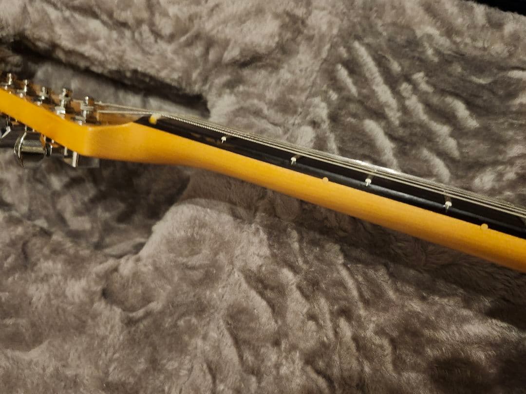 【6末で非公開にします】American Professional II