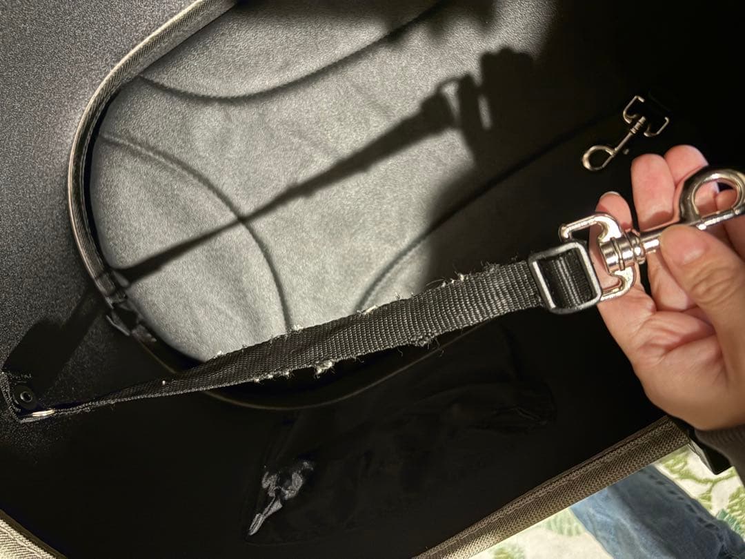 【本日限定価格】AIRBUGGY　DOME3 ラージ ペットカート クローバー