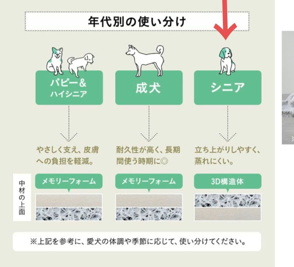 neDOGko マスタードイエロー 犬用ベッド クッション型 シニア用 Lサイズ