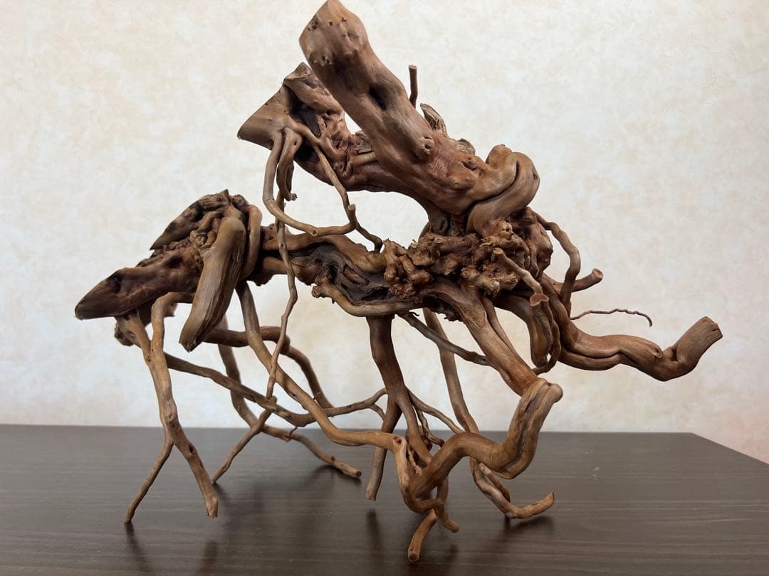 13004 ブランチウッド　流木　アクアリウム　沈水確認済