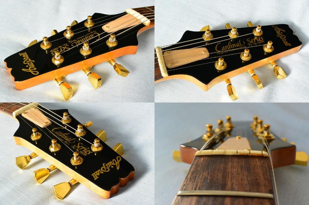 Aria Pro II CS-350T ピックアップ増設 バーズアイピックガード