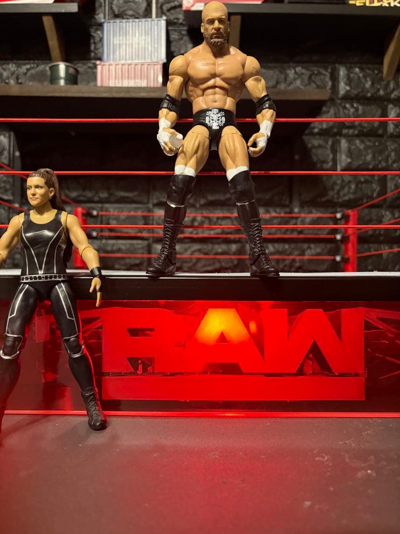 値下げ最終wwe入手困難品多数レスラー 12体+リング・トラック