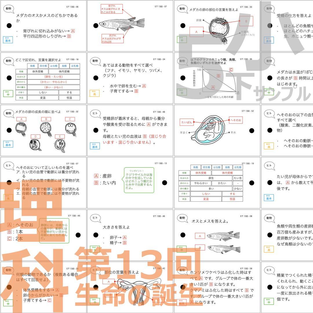 中学受験【5年下 全セット 社会・理科1-18回】 暗記カード 予シリ 組み分け