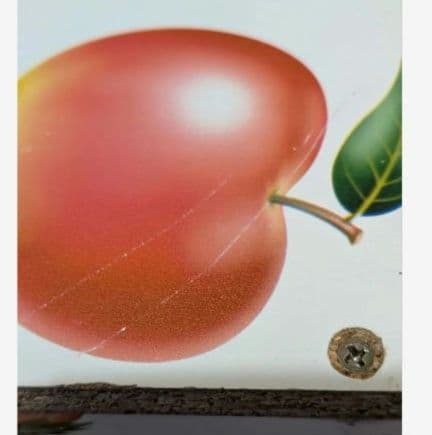 激レア！ハローキティ　フリーボックス　フルーツ柄　2002年 　サンリオ