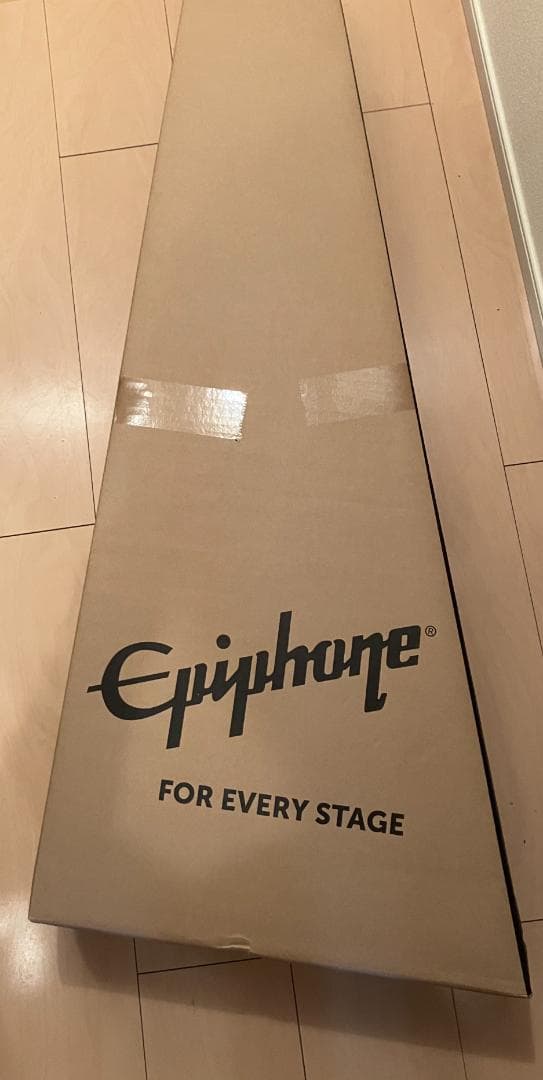 ギター TRAVELER GUITAR Travelcaster Deluxe