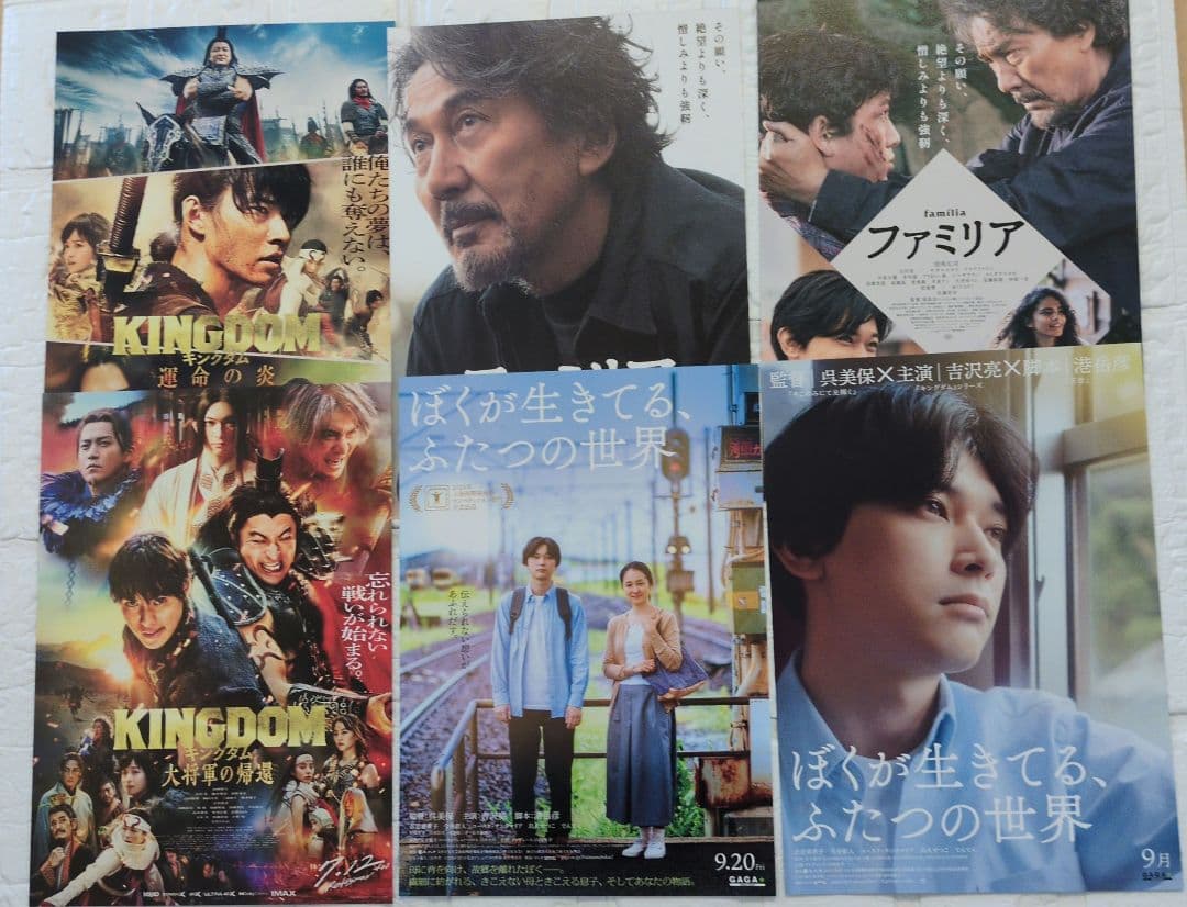 吉沢亮　映画　フライヤー　55枚セット