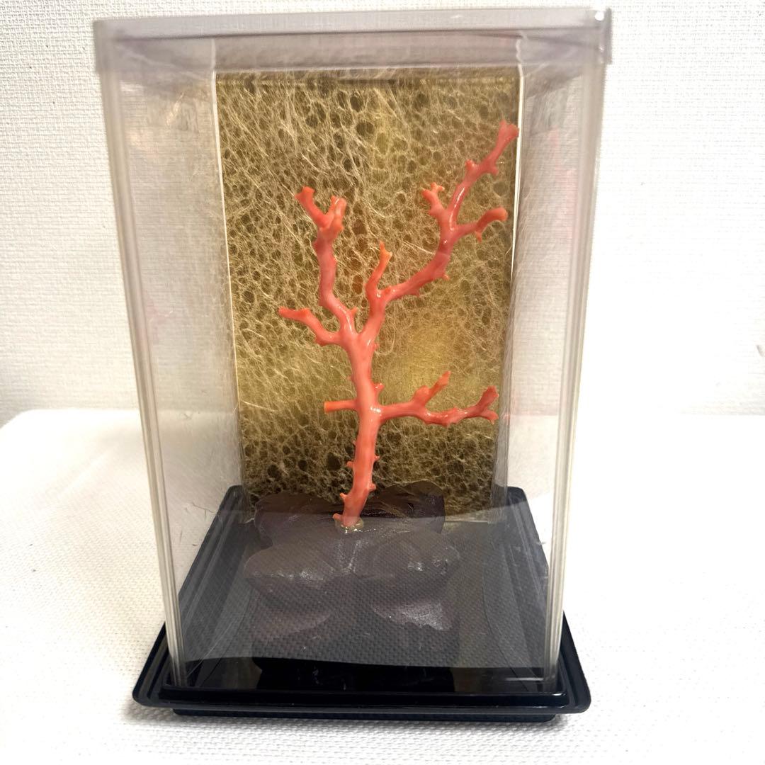 赤珊瑚 サンゴ 珊瑚 置物