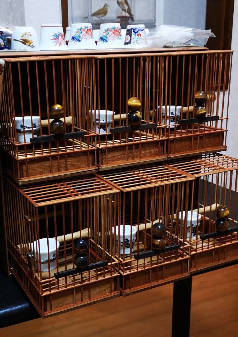 《季節限定出品》メジロ籠&寝かせ籠【最高級/優良籠】※真鍮製餌受　※限定購入特典