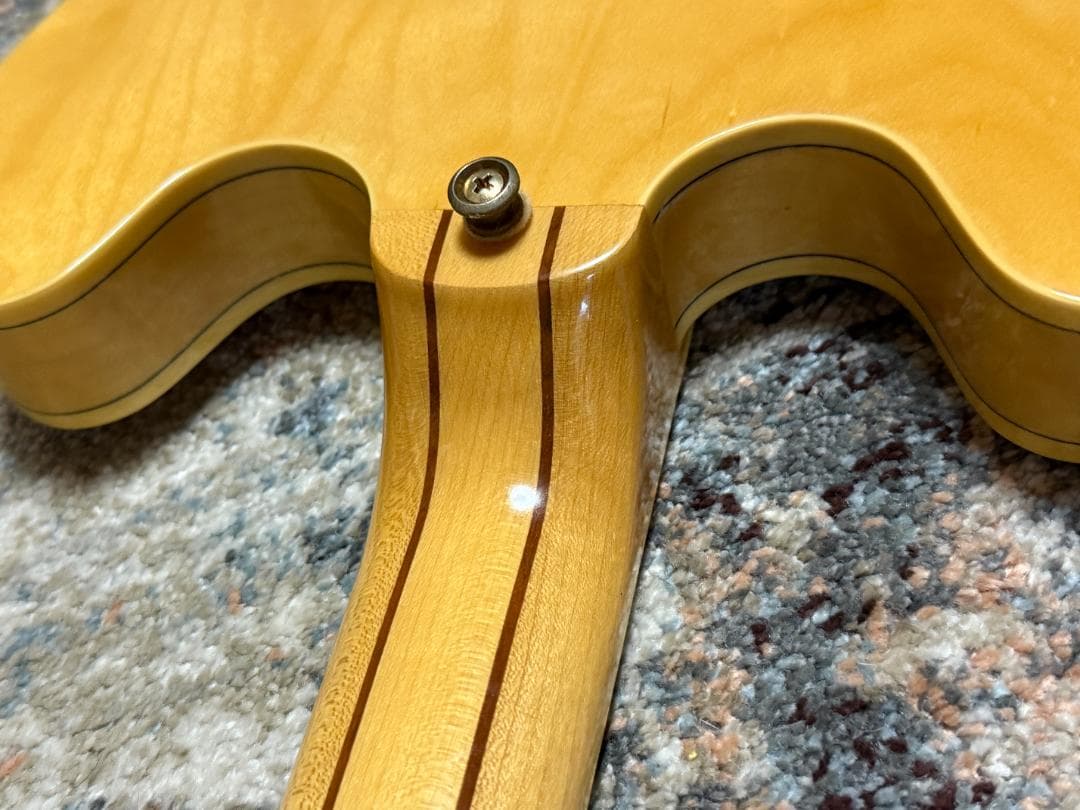 Epiphone SHERATON II 2014ｓ