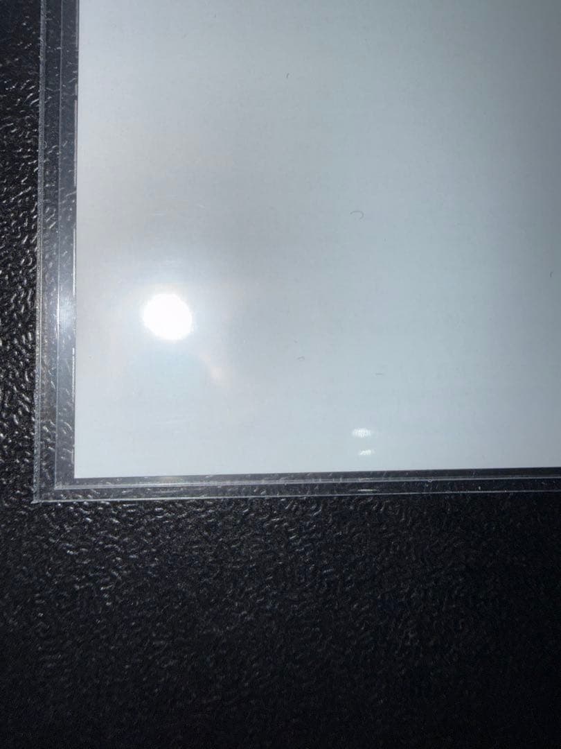 【美品】　遊戯王　光の創造神ホルアクティ　応募券