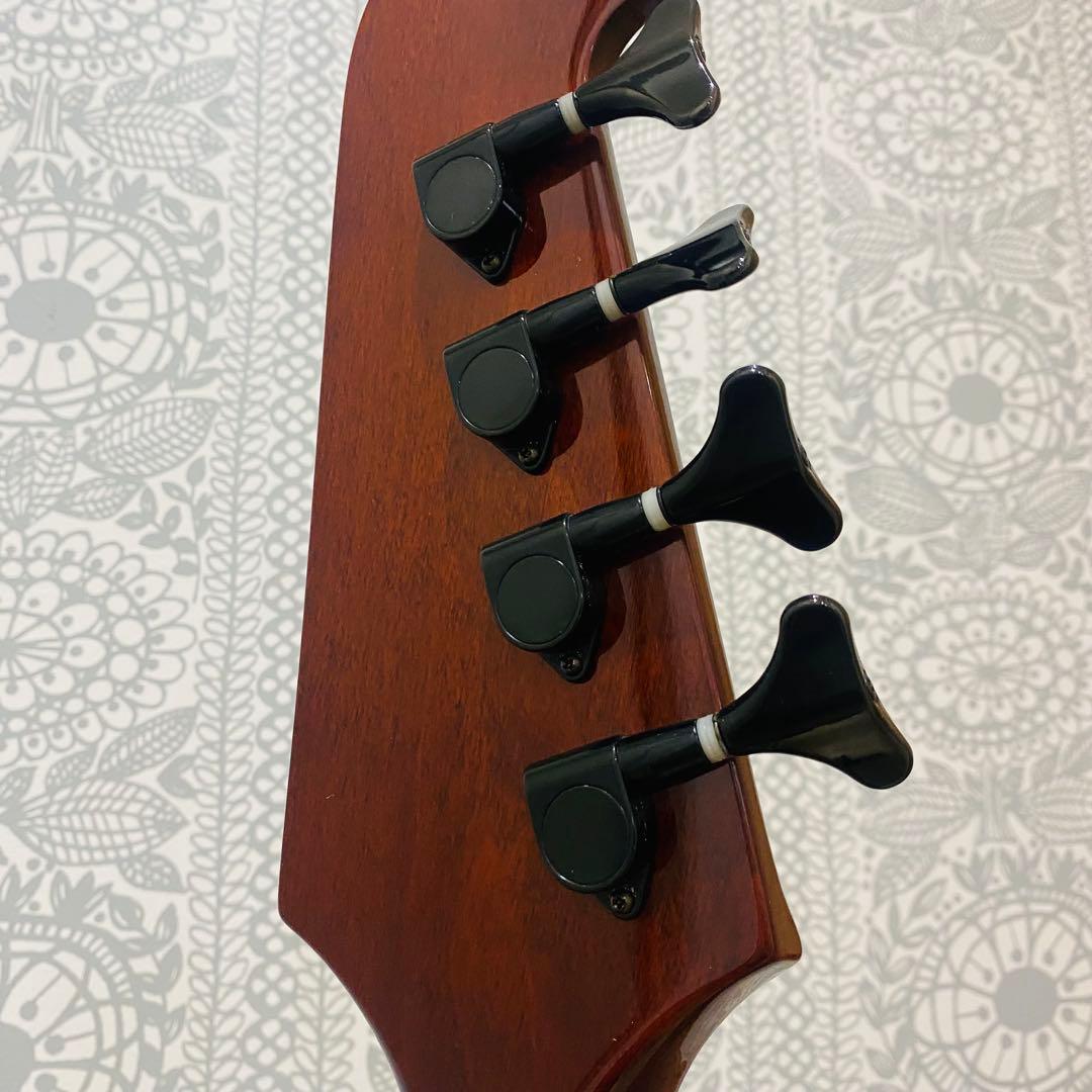 Epiphone Thunderbird エピフォン　サンダーバード ベース