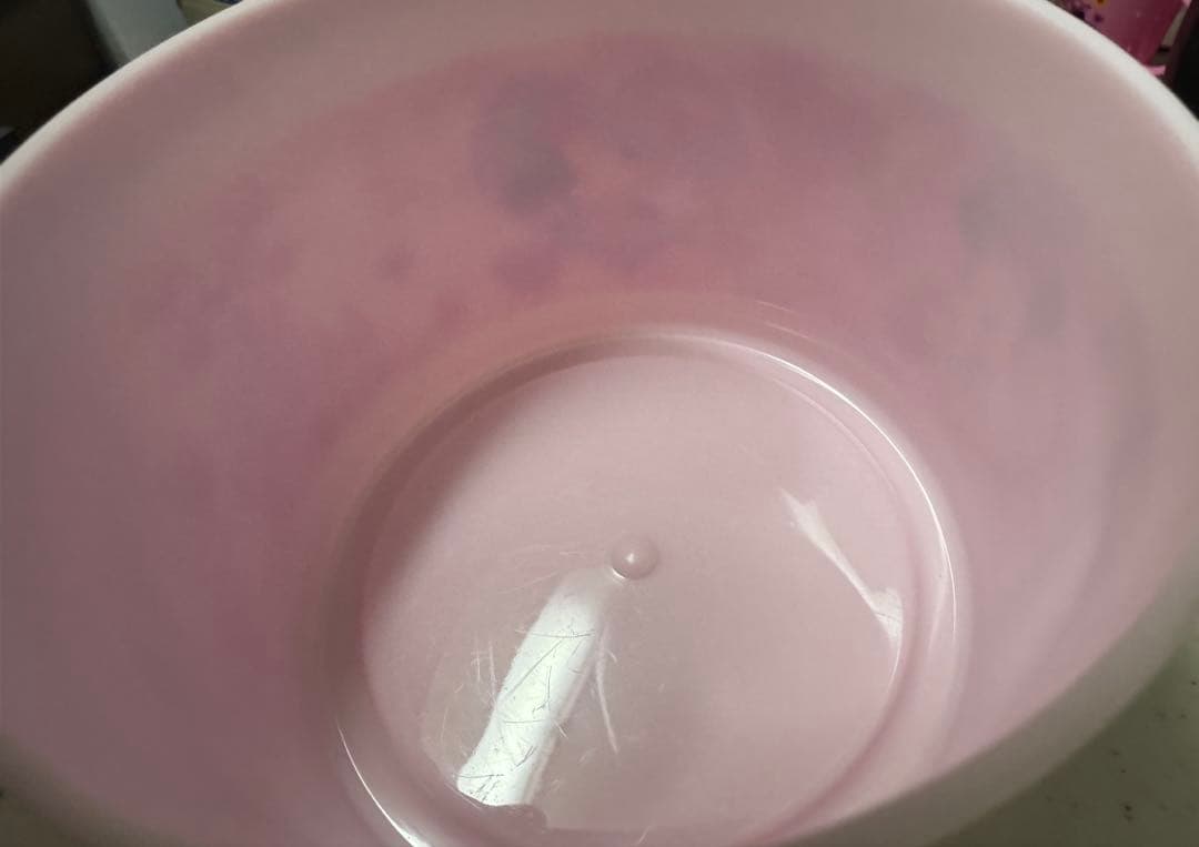 ディズニーランド　パルパルーザ　ミニー　ファンダーランド　ポップコーンバケット