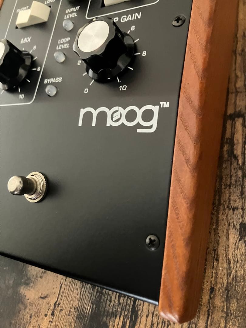 Moog moogerfooger mf-104z 　Analog Delay