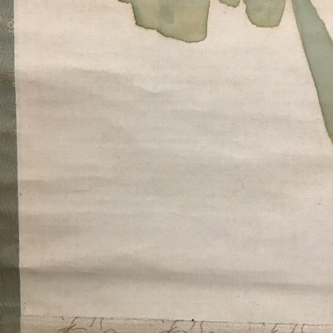 K茶道具　掛軸　杜若(かきつばた)　小寺雲洞作(明治ー昭和)共箱　S1014KJ