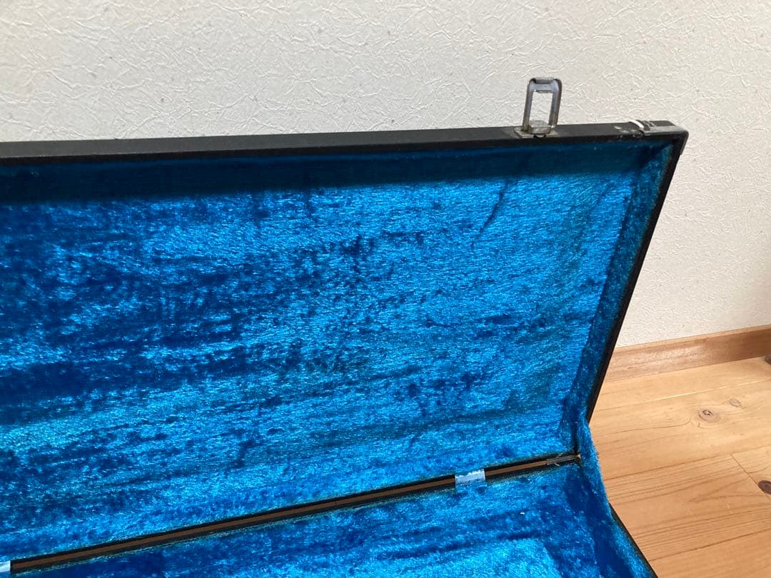 エレキ　ハードケース