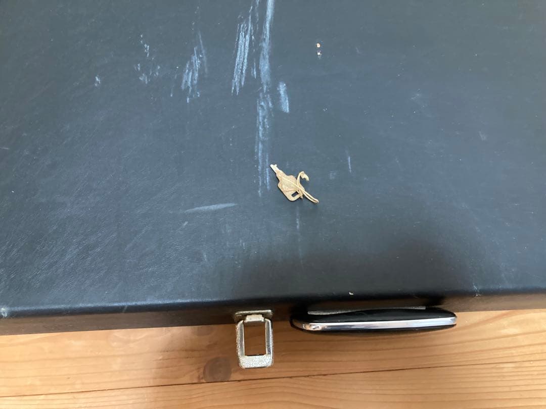 エレキ　ハードケース