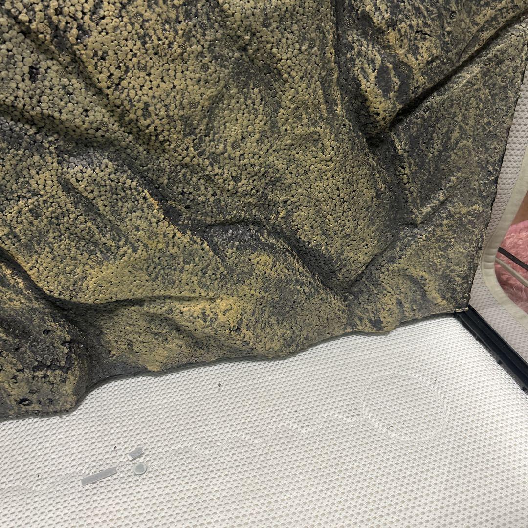 エキゾテラ　グラステラリウム9045