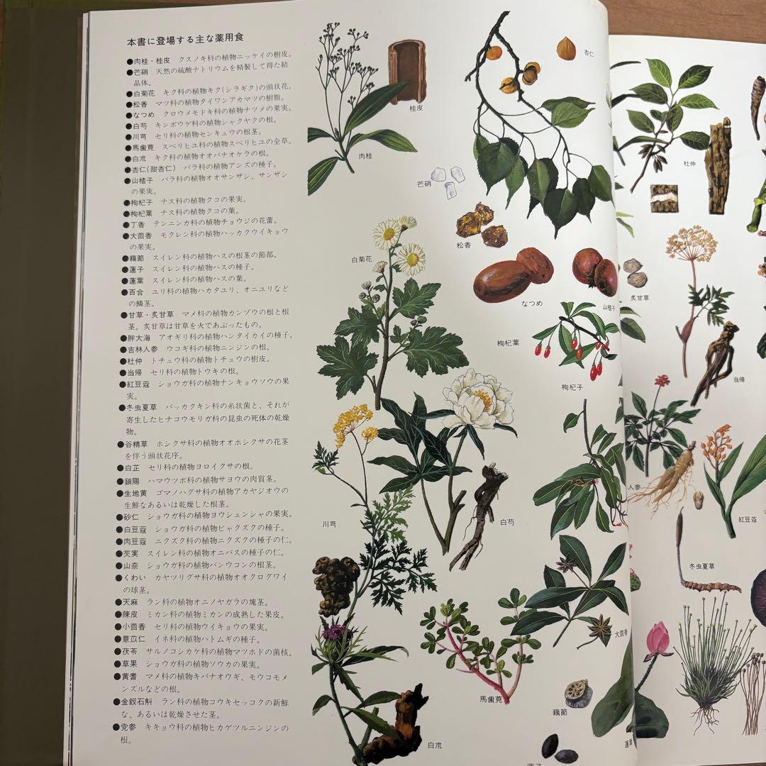 ❗️お値下げ中❗️【漢方健康料理 全8巻】中国料理レシピ 中国医学 北京中医学会