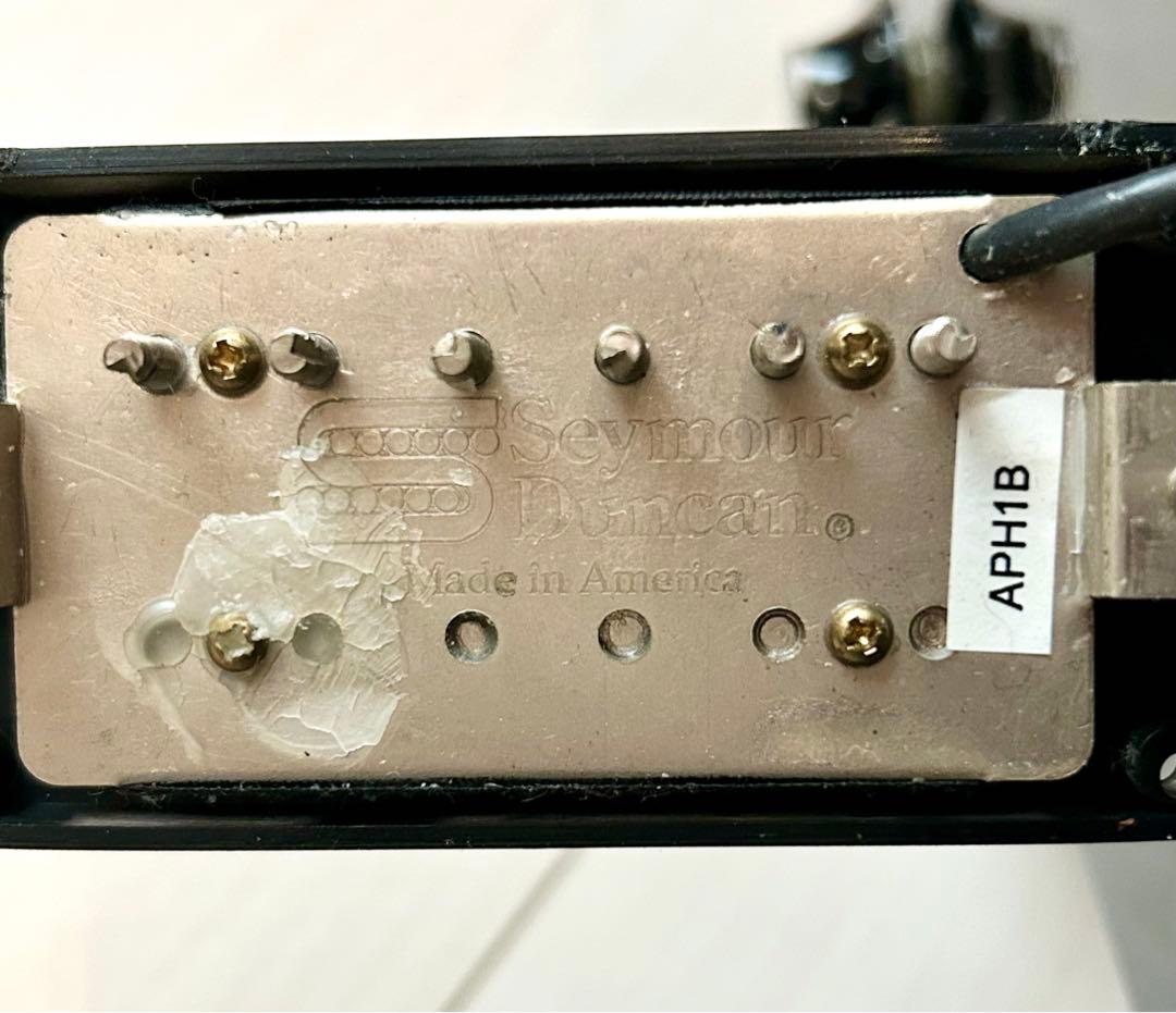 ギター SCHECTER/TEMPEST