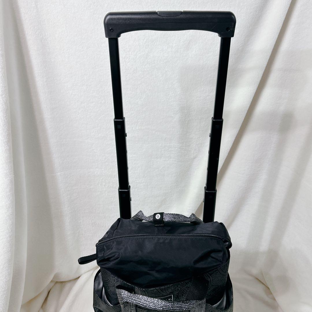 美品 SWANY スワニー キャリー バッグ ペイズリー柄 ストッパー付き 保冷