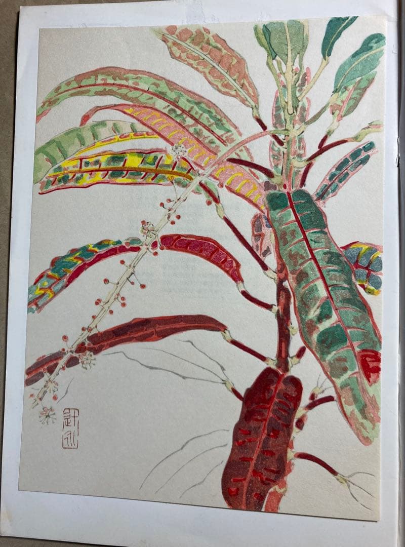 現代作家デッサン 小磯良平他5名木版画入り6冊まとめて