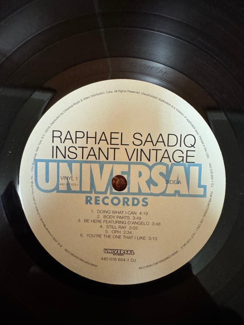 洋楽 RAPHAEL SAADIQ INSTANT VINTAGE
