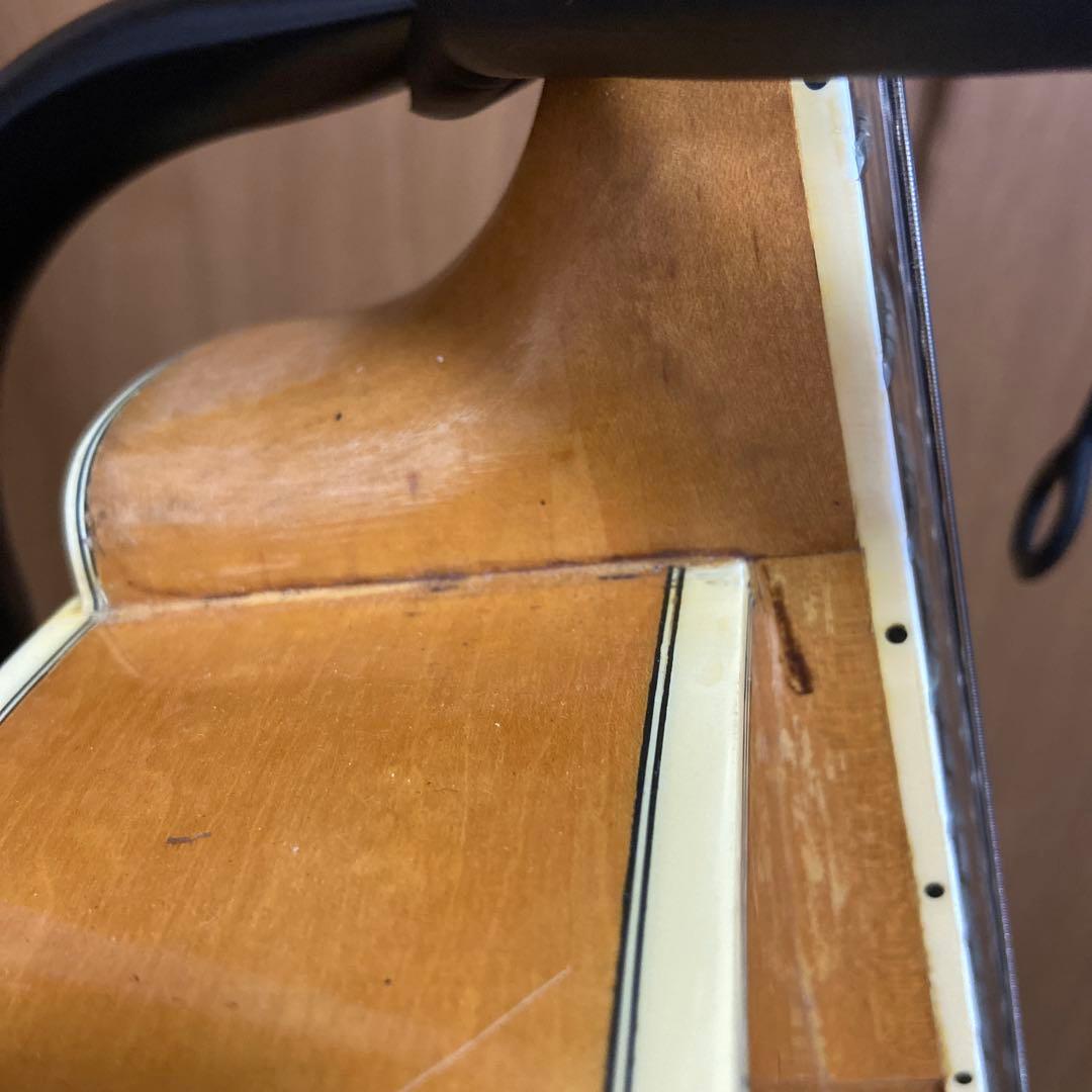 フルアコ 日本製　海外輸出モデル Epiphone NVJ-NT