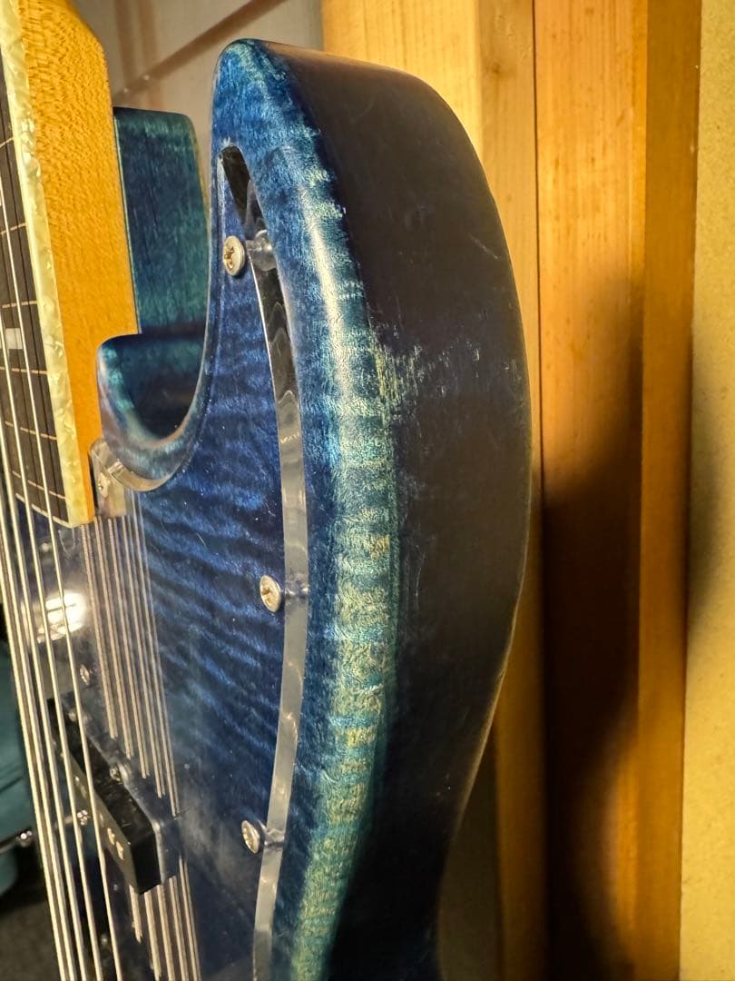 【超激レア仕様】Bacchus Woodline 5弦ベース【値下げ歓迎】