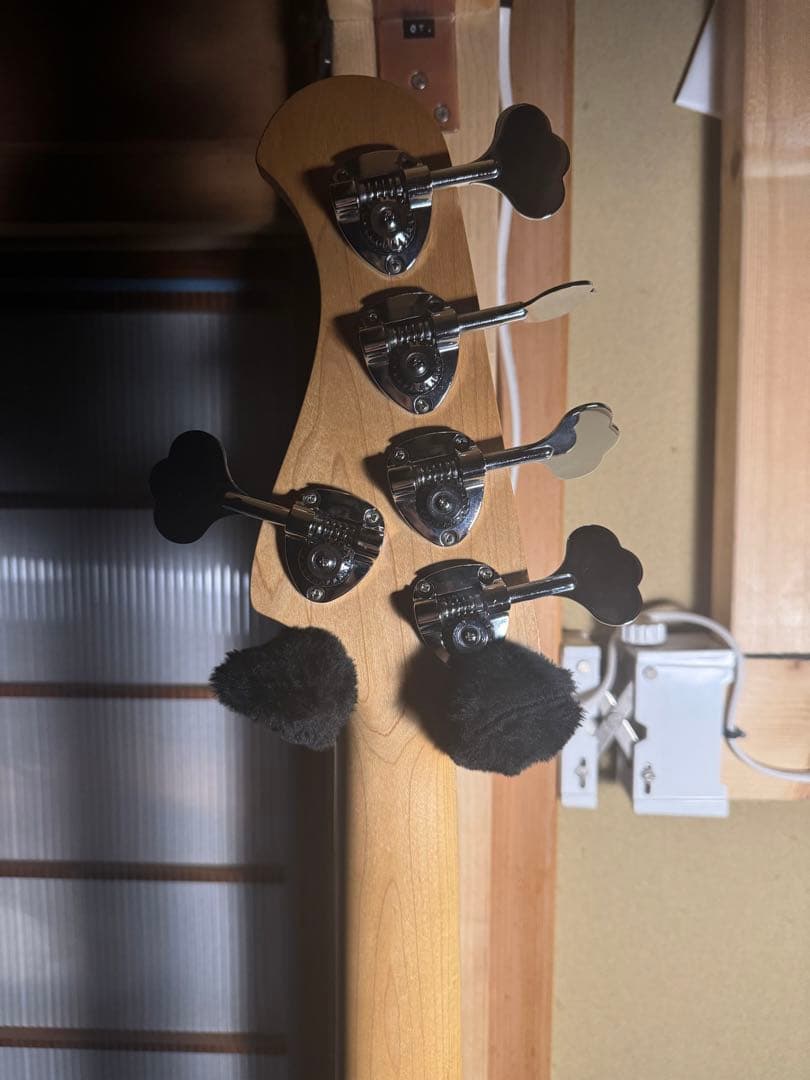 【超激レア仕様】Bacchus Woodline 5弦ベース【値下げ歓迎】