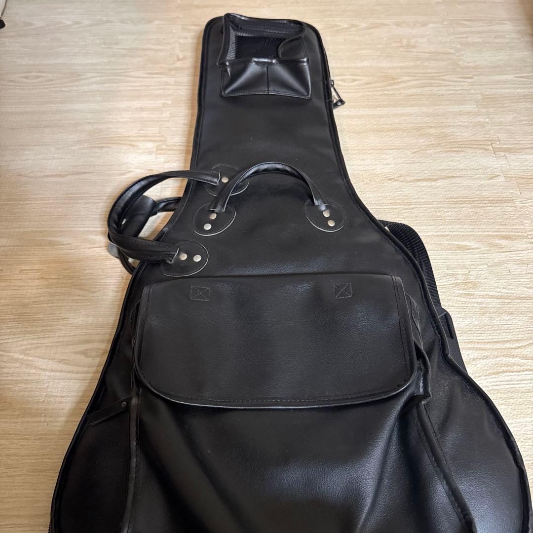 FUJIGEN フジゲン タイムレスティンバー BAT-20TT レスポール